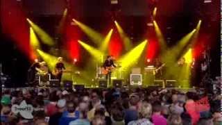 Lowlands 2013 - The Veils Concert