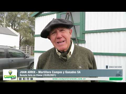 JUAN ARRIX | Martillero Campos y Ganados