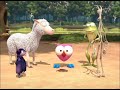 The Owl And Co Promo Boomerang Africa 2015