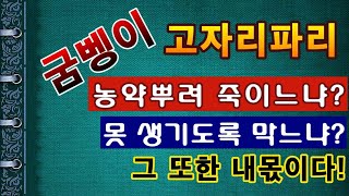 [텃밭농부.802]  굼벵이. 고자리파리 애벌레를 막을까요? 죽일까요?