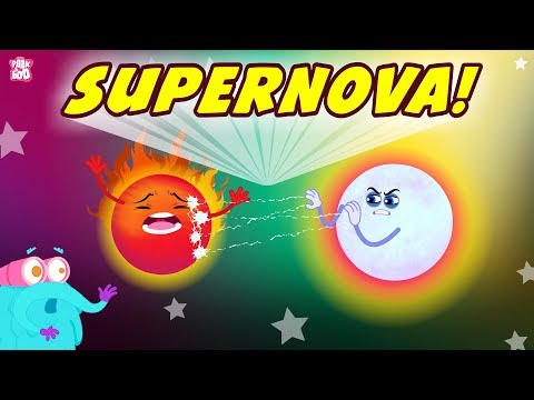 What Is Supernova? The Dr. Binocs Show | Best Learning Videos For Kids | Peekaboo Kidz