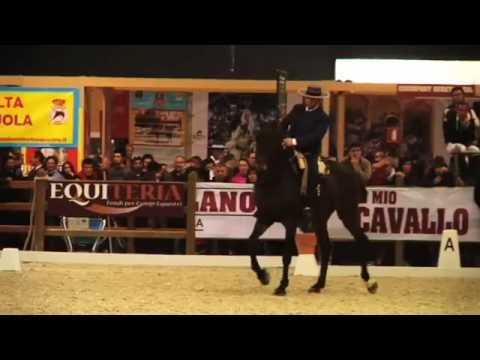 Doma Vaquera   Marco Cocozza   Marquesa   Trofeo città di Milano