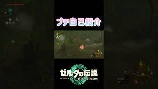 実はわたしは… #ゼルダの伝説 #ゼルダ #ティアーズオブザキングダム #ティアキン #ゲーム実況