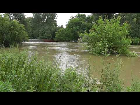 Wupperwiesen Opladen 3 2021 07 15