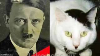 Забавные сходства знаменитостей. ПРИКОЛЫ