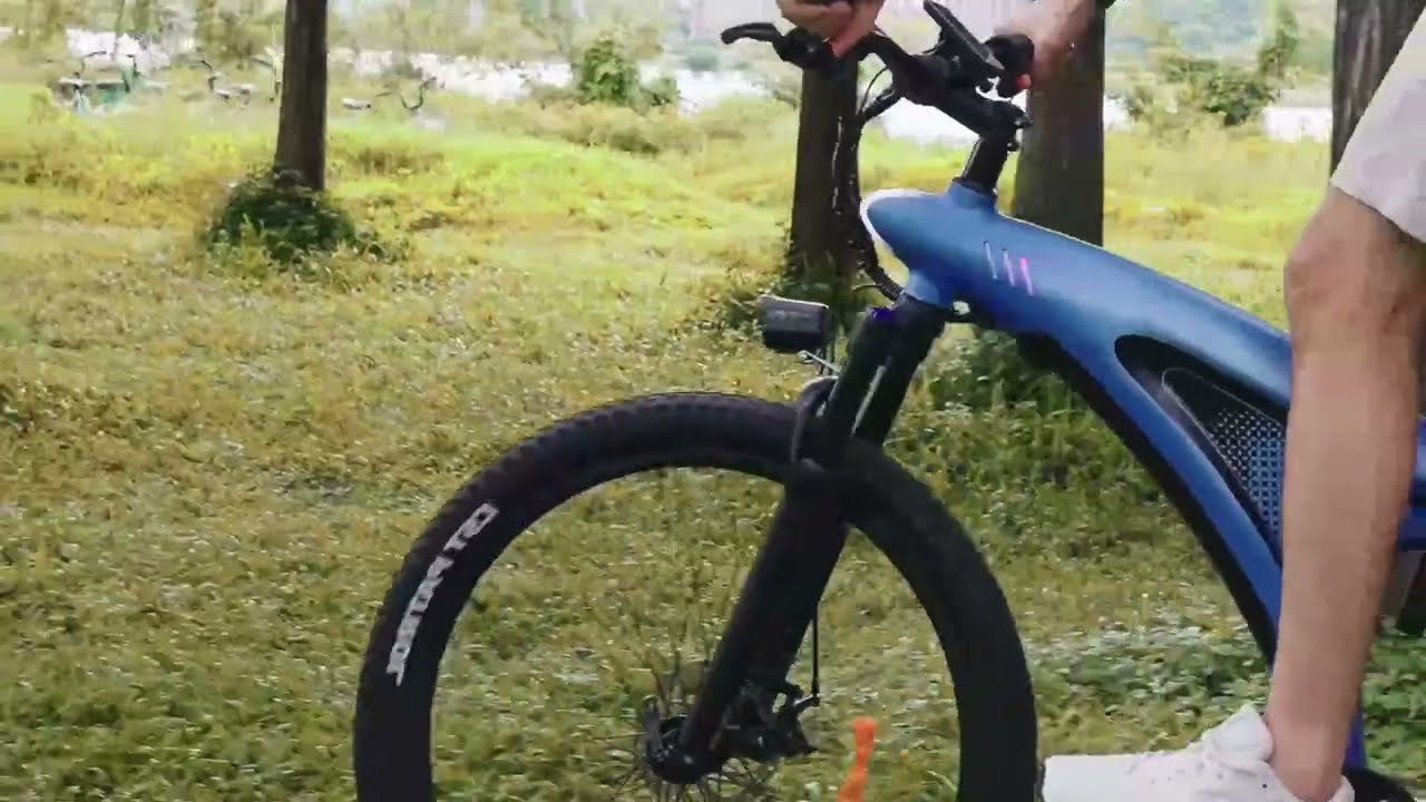 Forest Riding on the Shark Mako