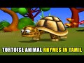 Tamil Nursery Rhymes TORTOISE Rhymes Kids Tamil Rhymes Animal Nursery Rhymes