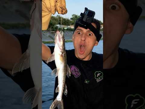 Tem peixe no rio Tietê? #shorts