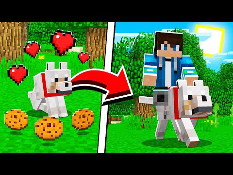 How to UPGRADE WOLVES in Minecraft Tutorial! (Pocket Edition, PS4, Xbox, PC, Switch)