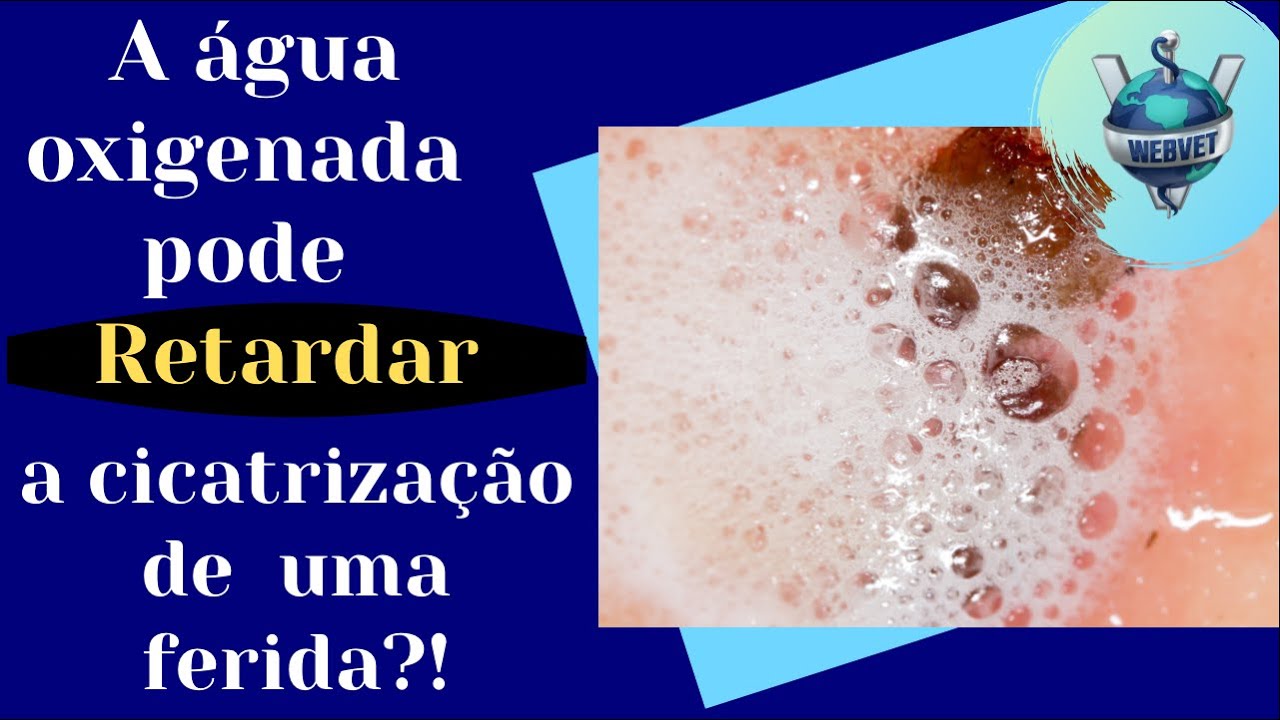 SERÁ QUE A ÁGUA OXIGENADA PODE RETARDAR A CICATRIZAÇÃO DE UMA FERIDA?! | WEBVET
