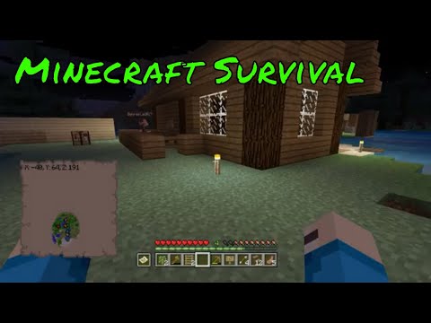 Minecraft ( Stream ) Building
