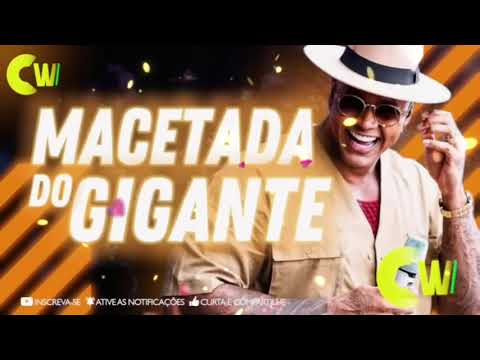 LÉO SANTANA   MACETADA DO GIGANTE MÚSICAS NOVAS E SUCESSOS PRO VERÃO 2024