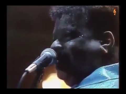 Tim Maia - Telefone (Ao Vivo)