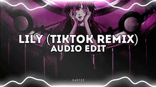 lily (tiktok remix) - alan walker edit audio