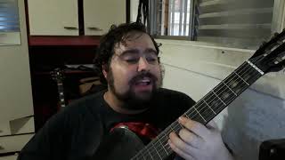 Lunachicks - Mr Lady accustic cover