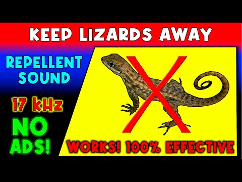 ANTI LIZARDS REPELLENT SOUND ⛔🦎 KEEP LIZARDS AWAY - ULTRASONIC SOUND