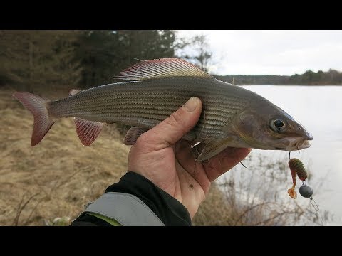 Миниатюра изображения товара Мягкая приманка Lucky John Pro Series Spark Tail / 140167-S67 (7шт)