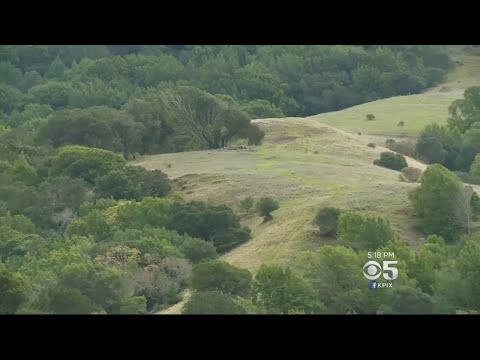 Marin Land Trust Celebrates Parcel Donated By Metallica's James Hetfield