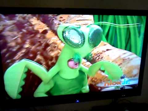 Weezer all my friends are insects