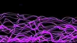 Shawn Michael - Shes Got A Way