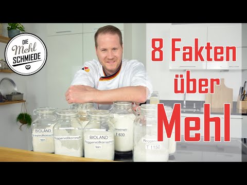 8 Fakten über MEHL, die du wissen solltest! // Die 8 häufigsten Fragen zu MEHL // MEHL Teil 1