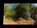 Cycle Mashatu MTB Safari Botswana