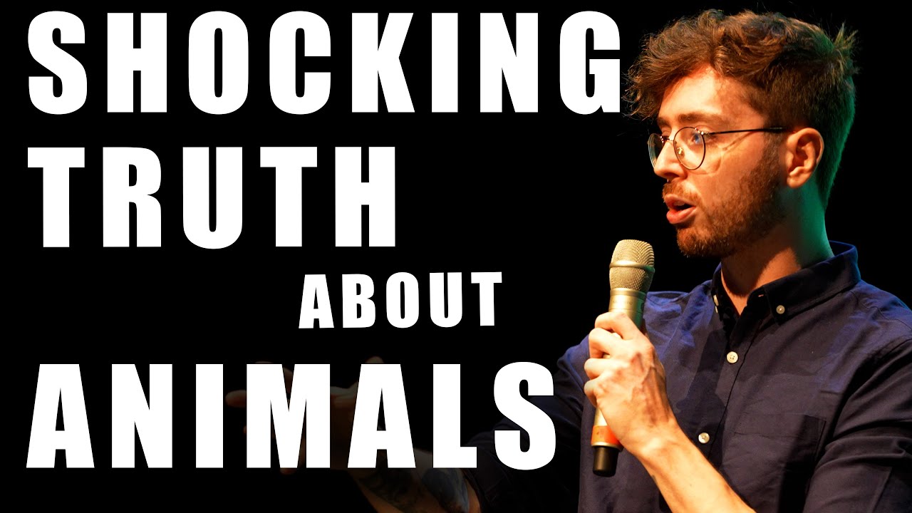 What 99% of people don't know about Wild Animals