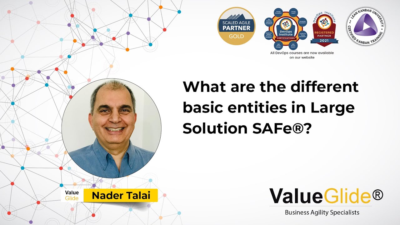 What are the different basic entities in Large Solution SAFe?