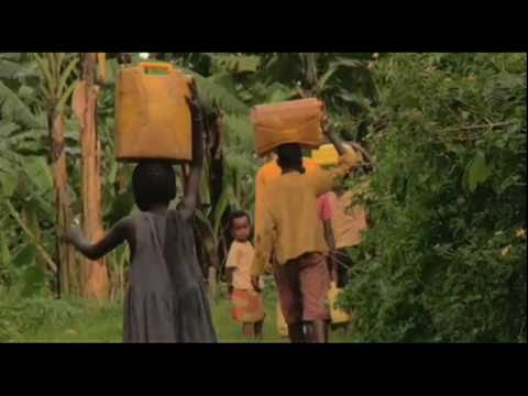 EADD II - East Africa Dairy Development Phase II