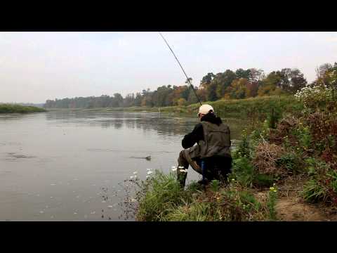 Wobler Hunter Fantom 7cm / 10g Sinking - TIG film wideo