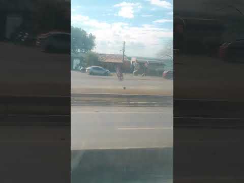 PROPRIÁ | PONTE METÁLICA | RIO SÃO FRANCISCO | DIVISA | SERGIPE | ALAGOAS
