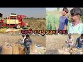 આજે રાયડૂ કાઢવા ગયા Gujarati Lifestyle Vlog Vlog Gujarati Family Vlo