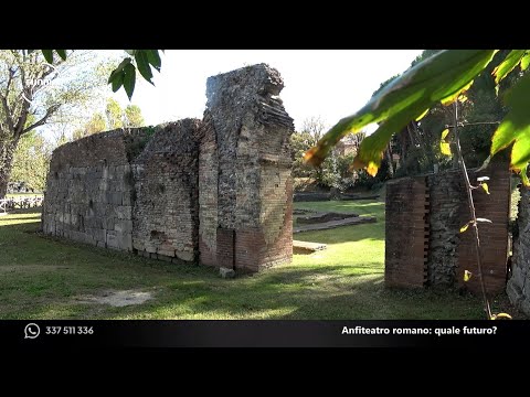 Fuori dall'Aula 25/26. Anfiteatro romano a Rimini: quale futuro?