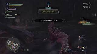 【アナルで生放送】MHW【桃太郎's】モンスターハンターワールド