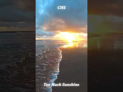 CHS - Too Much Sunshine
