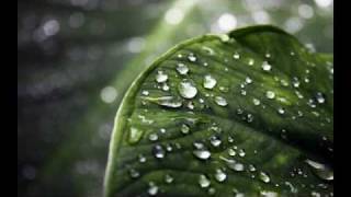 Carmen Pi - Afuera la lluvia (Buitres)