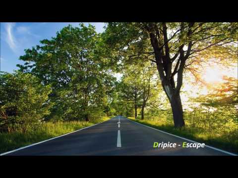 Dripice-Escape(nightcore version)