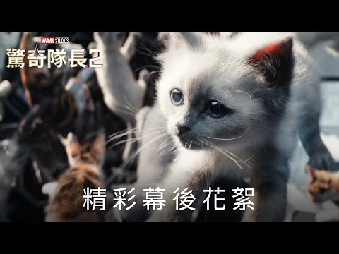 #漫威影業《#驚奇隊長2》華麗卡司 幕後花絮大公開！ #布麗拉森 #奧斯卡影后 #朴敘俊 #山繆傑克森