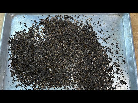 BREEDER Bin Update - Holy Cocoons Batman!