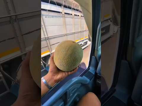 ISTILAH YANG HANYA DIKETAHUI SOPIR TRUK!! STUT!!