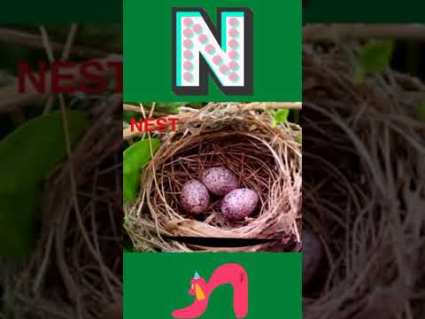 class 1 Alphabet part 2