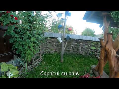 Pensiunea Inima Maramuresului, localitatea Breb