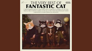 Fantastic Cat & Anthony D'amato - Wild & Free video