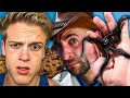 Coyote Peterson Is Insane