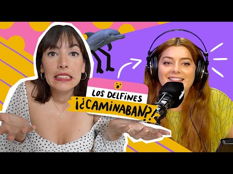 ¿Por qué dejaron de CAMINAR los DELFINES? | Tenía la Duda 1×03