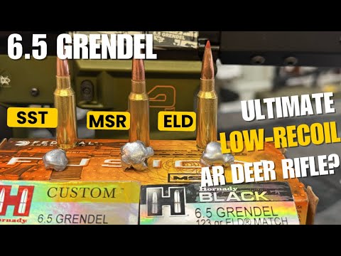 DOMINATION!! 30-06 Federal Fusion 165gr Ammo Test