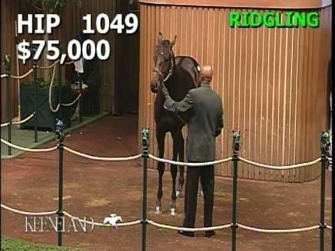 The Magic Bus at the Keeneland Sale September 2009