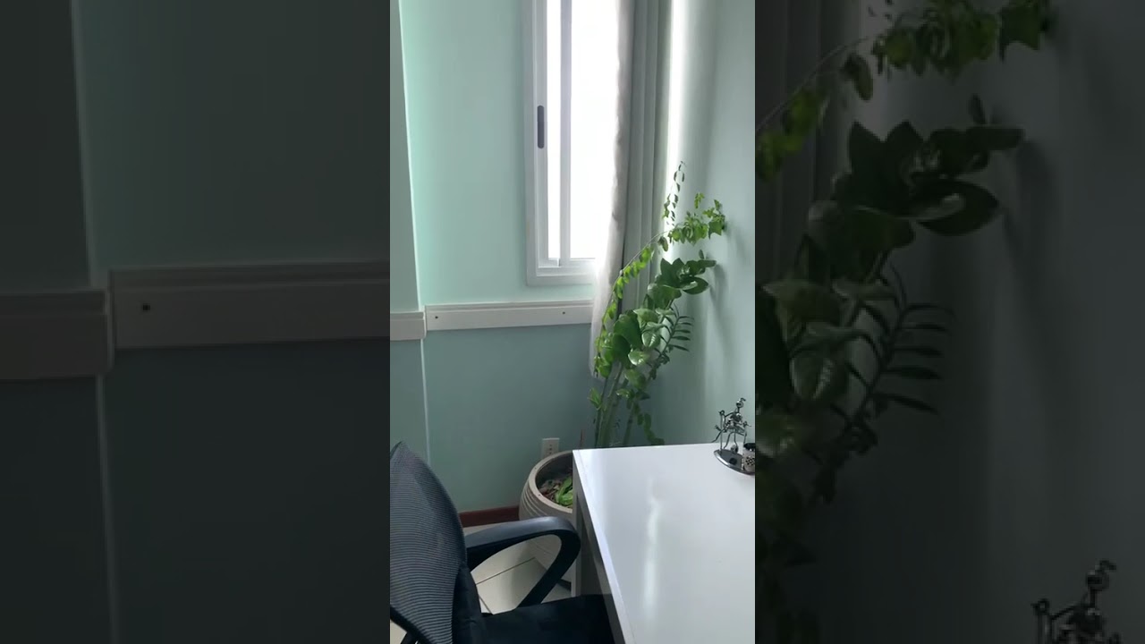 Daniela Brito Cesconetto-19