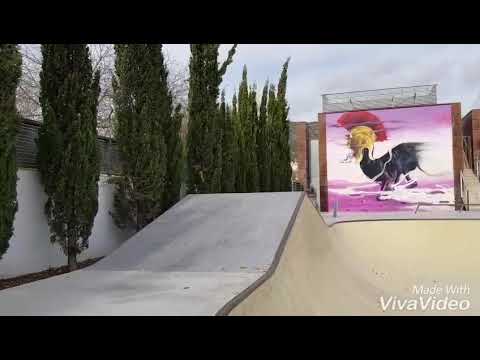 Skatepark Son Caliu (Mallorca)