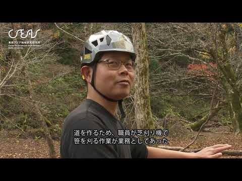 東側の庭園を眺めると、思慮深い思考を持つとはどのような感じでしょうか?どの植物を好むでしょうか？  庭園